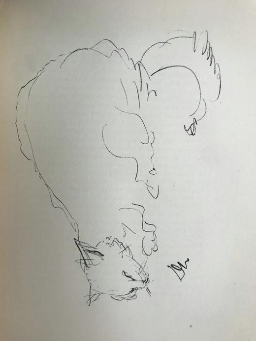 1930年 迈克尔·约瑟夫《猫咪的陪伴》 配大量手绘速写画 漆布精装16开 商品图10