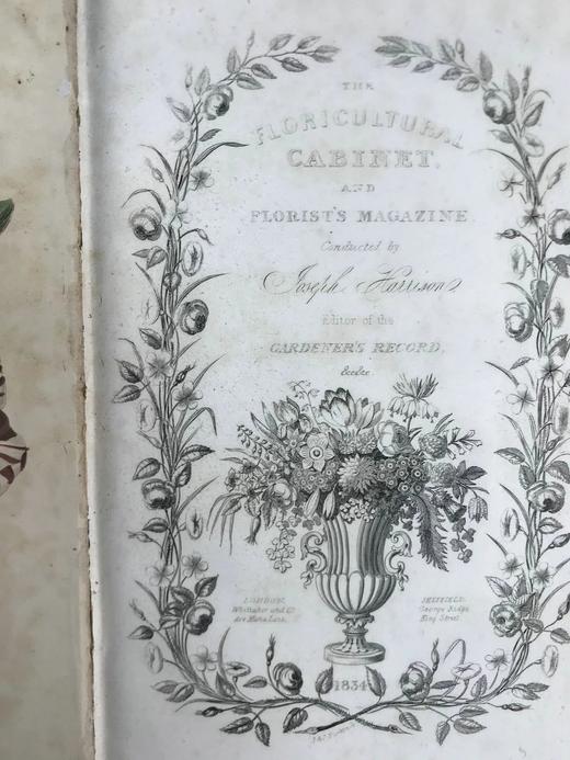 1834年  花艺宝库与园艺师杂志（全13卷） 数百幅手工上色插图 皮脊精装大32开 商品图3
