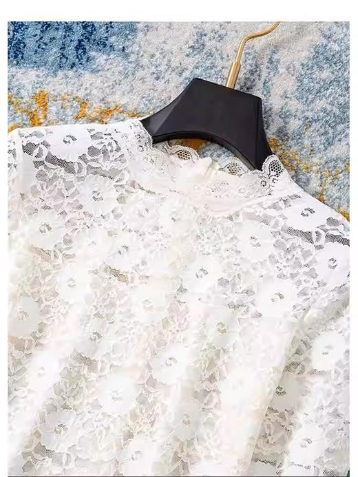 轻奢简约~亲肤蕾丝立领长袖打底衫女2026春季新款设计感百搭上衣 商品图4