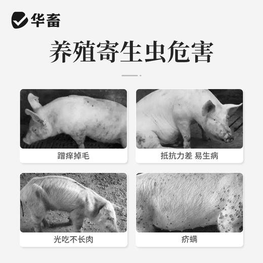 华畜多拉菌素注射液50ml 孕畜可用内外双驱 商品图1