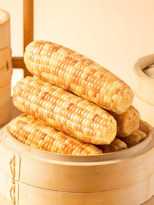 MM 山姆 小花糯玉米 1.58kg 商品图1