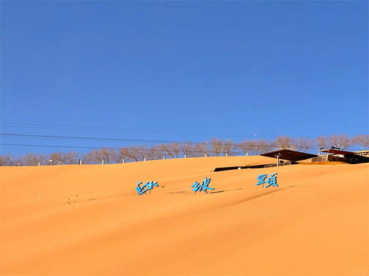 五一5日【宁夏全景】宁夏环线の贺兰山岩画-镇北堡西部影城-西夏王陵-黄河双绝沙坡头-66号公路-青铜峡-水洞沟 商品图5