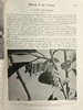 约20世纪早期 宇宙的奇迹（全2卷） 36幅彩色插图821幅黑白插图 精装16开 商品缩略图11