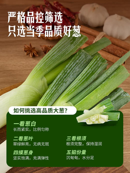 MM 山姆 有机大葱 500g 商品图4