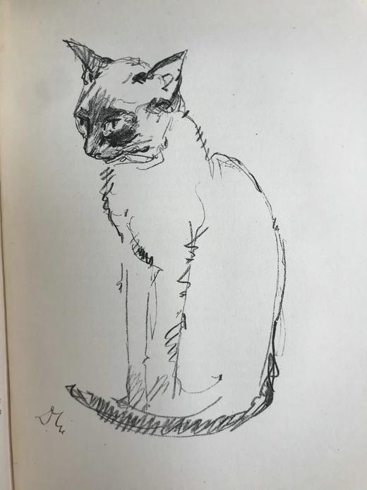 1930年 迈克尔·约瑟夫《猫咪的陪伴》 配大量手绘速写画 漆布精装16开 商品图8