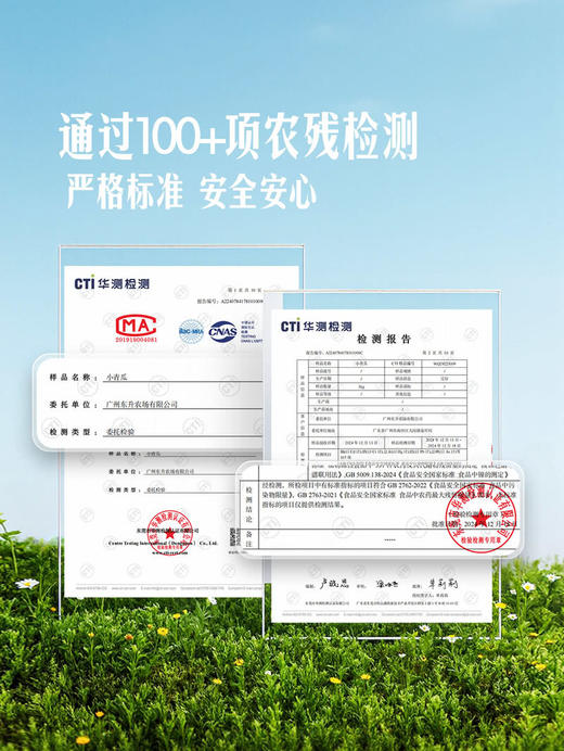 MM 山姆 小青瓜（黄瓜）1kg 商品图3