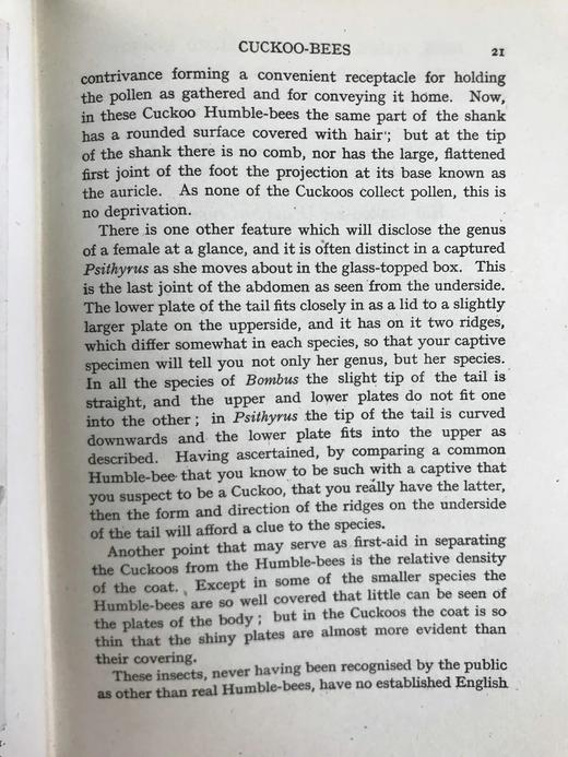 1946年 不列颠群岛昆虫图鉴 67幅黑白44幅彩色插图 精装36开 商品图14