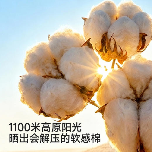 英氏儿童内裤女童四季款平角内裤10A抗菌四角裤3件装柔软舒适 商品图1