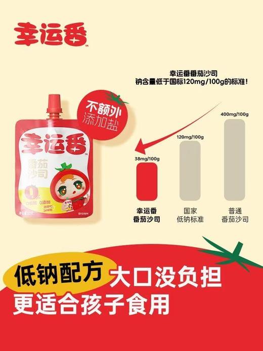 松鲜鲜番茄沙司番茄酱60g 商品图4