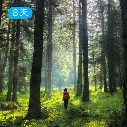青甘大环线｜新线首发 一生只打算去一次大西北的“终极答案” 8日 商品图8