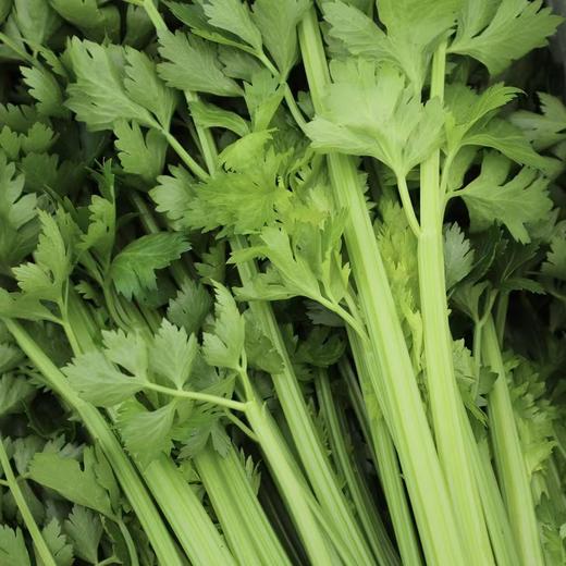 生态西芹 / 生菜丨时令鲜蔬，露天生态有机标准种植，羊粪发酵有机肥，香味浓郁，现采现发⭐顺丰快递 商品图4