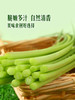 MM 山姆 蒜苔 500g 商品缩略图5