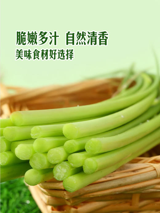 MM 山姆 蒜苔 500g 商品图5