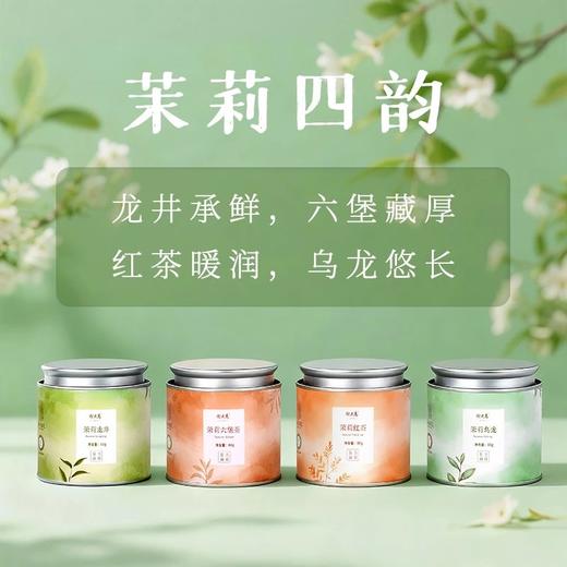 谢大高茉莉花茶罐装茶合集 双瓣茉莉花 ，花苞大花香足 九窨一提  基地直邮 商品图1