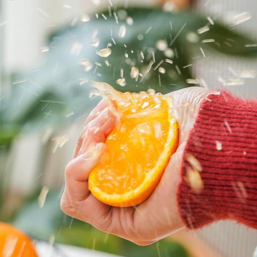 【橙诵·秭归伦晚】新年吃新橙，非冷库冻橙，现摘现发很新鲜，100%秭归伦晚，一口爆汁化渣，灌溉生活一切干涸！ 商品图5