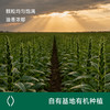 应物有机黑芝麻酱 纯黑芝麻酱不加糖古法石磨加工早餐吐司面包酱200g/瓶 商品缩略图2