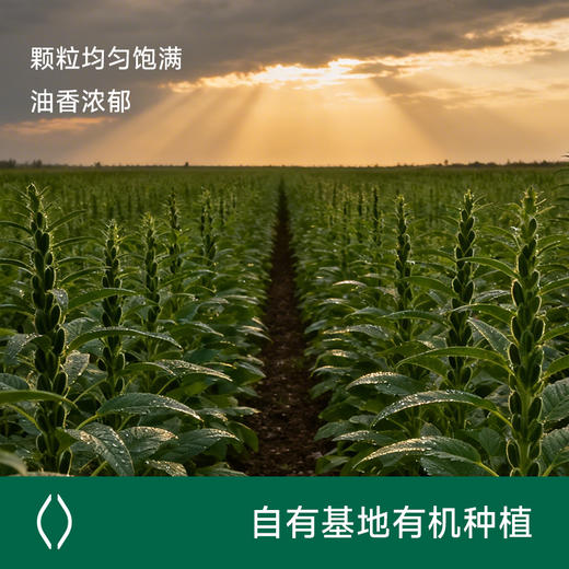 应物有机黑芝麻酱 纯黑芝麻酱不加糖古法石磨加工早餐吐司面包酱200g/瓶 商品图2