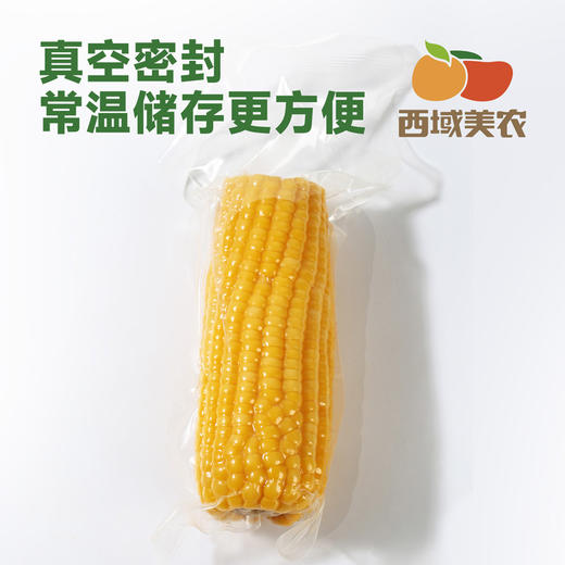 西域美农糯玉米240g*8根 东北黄糯玉米棒 低脂粗粮 早餐苞米 杂粮 商品图6