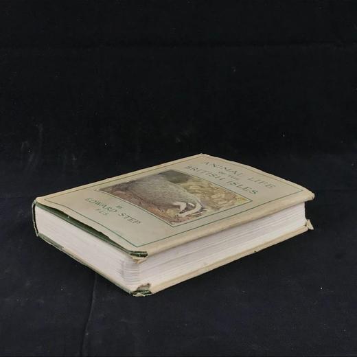 1946年 不列颠群岛动物生命图鉴 111余幅插图（48幅彩色） 精装36开 商品图1