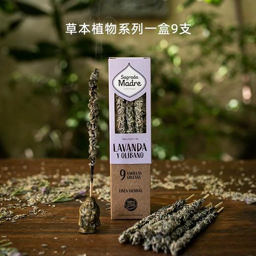 圣马德雷草本植物阿根廷进口天然线香香薰香氛礼物 商品图0