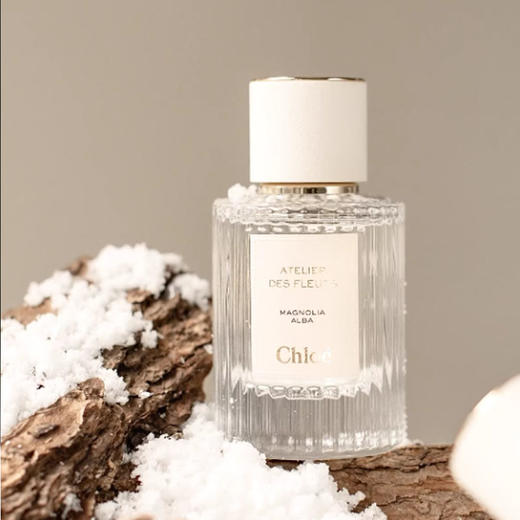 【香港免税店🇭🇰】香港直邮-Chloe 蔻依北国雪松 50ml 浓香 商品图4