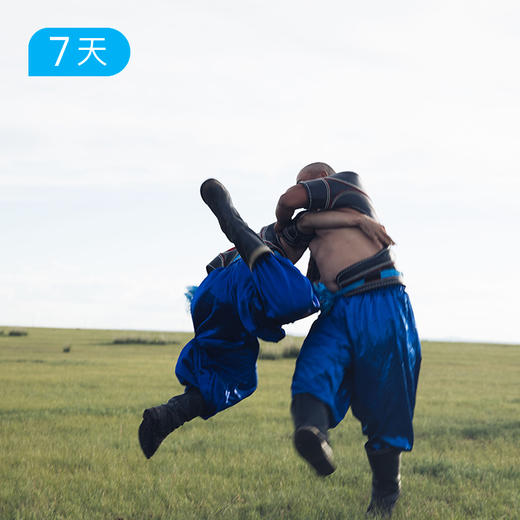 呼伦贝尔 走进草原的家 | 松弛不赶路 探访草原深处牧民家 读行满洲里  16人精品小团 7日 商品图10