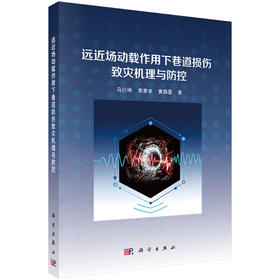 远近场动载作用下巷道损伤致灾机理与防控 马衍坤 李家卓 黄勤豪 9787030838797