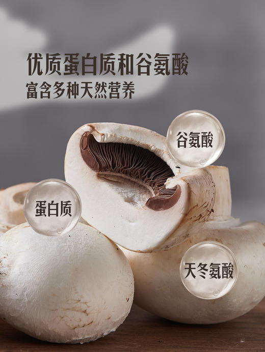 MM 山姆 白蘑菇 700g（350g*2） 商品图5