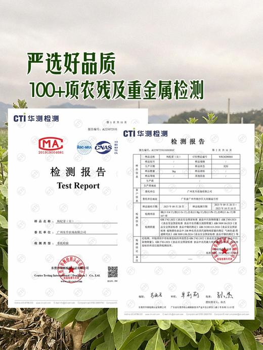 MM 山姆 枸杞芽 300g 商品图3