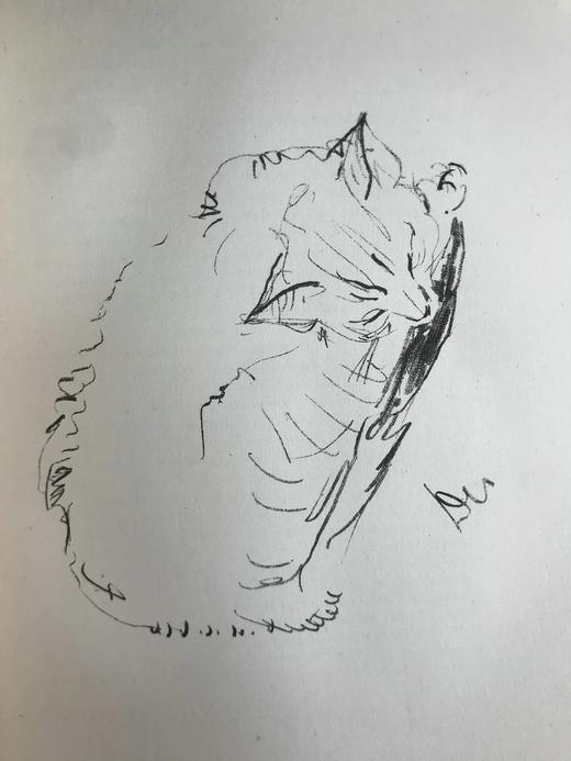 1930年 迈克尔·约瑟夫《猫咪的陪伴》 配大量手绘速写画 漆布精装16开 商品图14