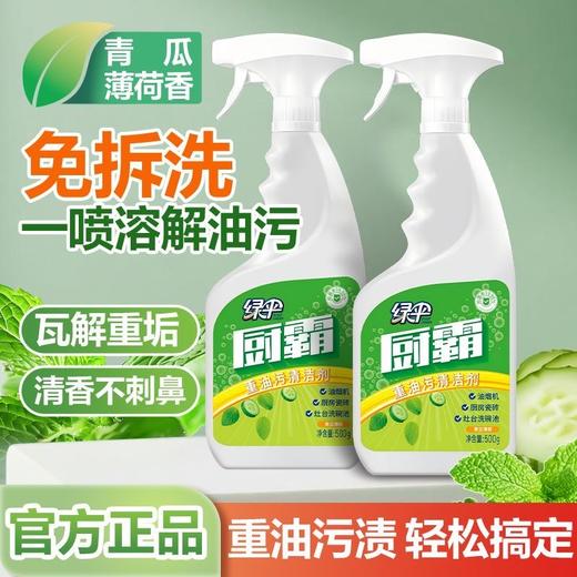 绿伞厨霸清洁剂强力去油污去重油除菌厨房卫生间瓷砖阳台厨房重油污克星 商品图0