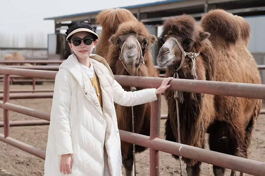 【一年一次优驼初段乳】【100%纯驼奶粉】双有机认证，新疆阿克苏柯坪县双驼峰骆驼，北纬41度黄金牧场 商品图6