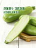MM 山姆 翠绿西葫芦 1kg 商品缩略图5