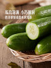 MM 山姆 小青瓜（黄瓜）1kg 商品缩略图4