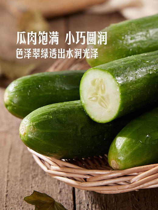 MM 山姆 小青瓜（黄瓜）1kg 商品图4