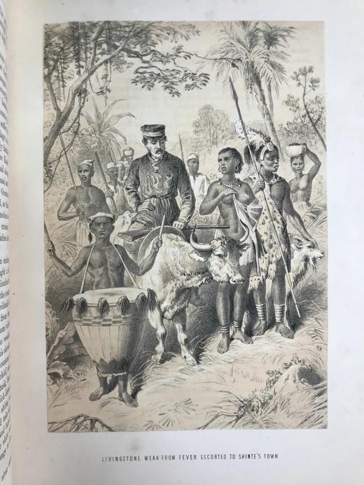 约19世纪后期 利文斯通的生平与探险 数十幅插图 全真皮精装大16开 商品图10