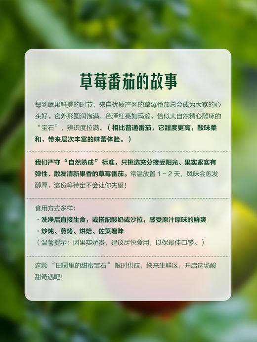 MM 山姆 草莓番茄 1.25kg 商品图4