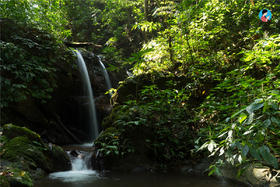  2026年最好喝的小树春茶在哪里？