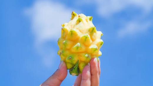 海南黄金燕窝果 商品图2