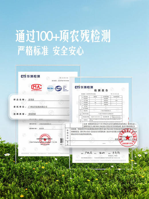 MM 山姆 菠菜苗 400g 商品图3