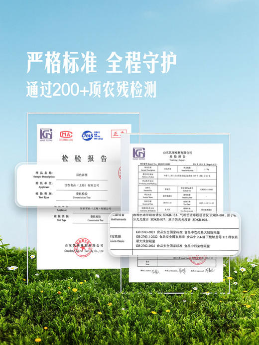 MM 山姆 双色洋葱 1.8kg 商品图3