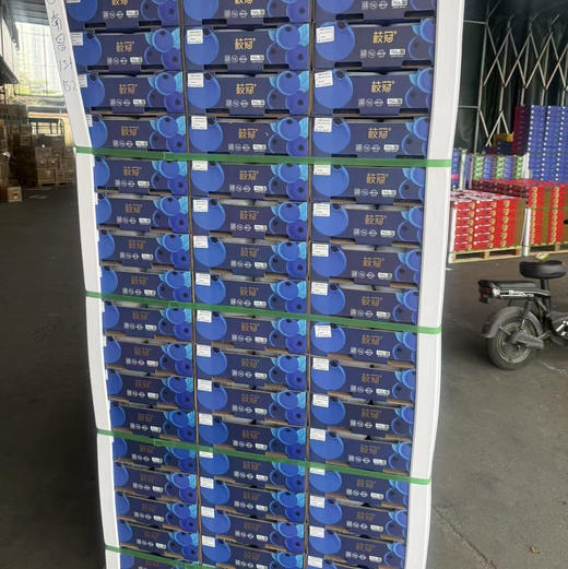 枝冠🫐蓝莓 净果450g  脆甜带花香  37.9/蓝 预定价 规格15+ 商品图1