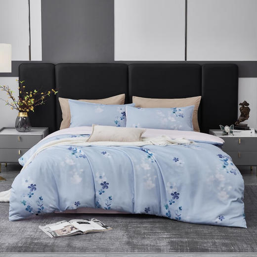 梦洁 云绒印花四件套臻礼·蓝若 商品图0