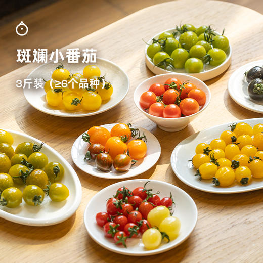 7天内发 企鹅市集|山东潍坊 斑斓小番茄盲盒 随机到手6个品种 优秀培育品种 滋味浓郁集中 商品图8