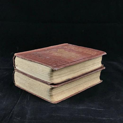 1919-1920年 不列颠群岛鸟类与鸟卵图鉴（2卷） 455幅彩色插图 漆布精装64开 商品图1