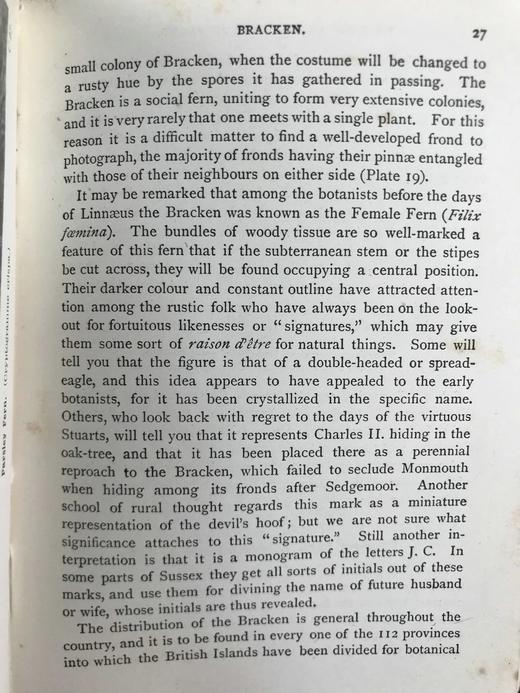1908年 路旁与林地蕨类植物图鉴 143幅插图 精装64开 商品图14