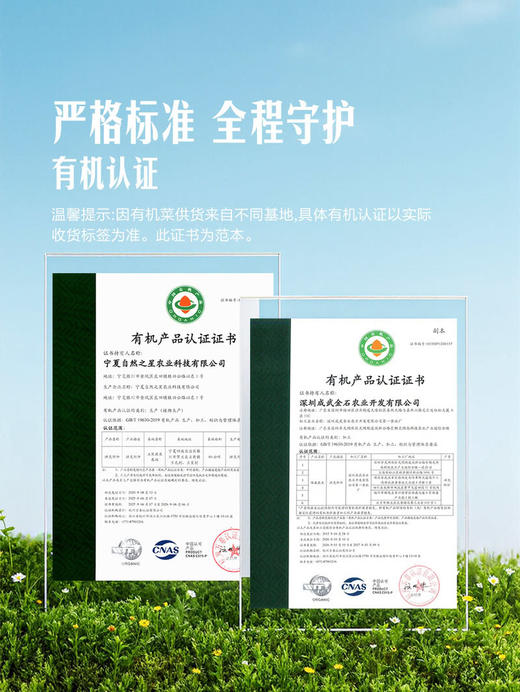 MM 山姆 Member's Mark 有机杭白菜苗 600g 商品图4