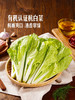 MM 山姆 Member's Mark 有机杭白菜苗 600g 商品缩略图3