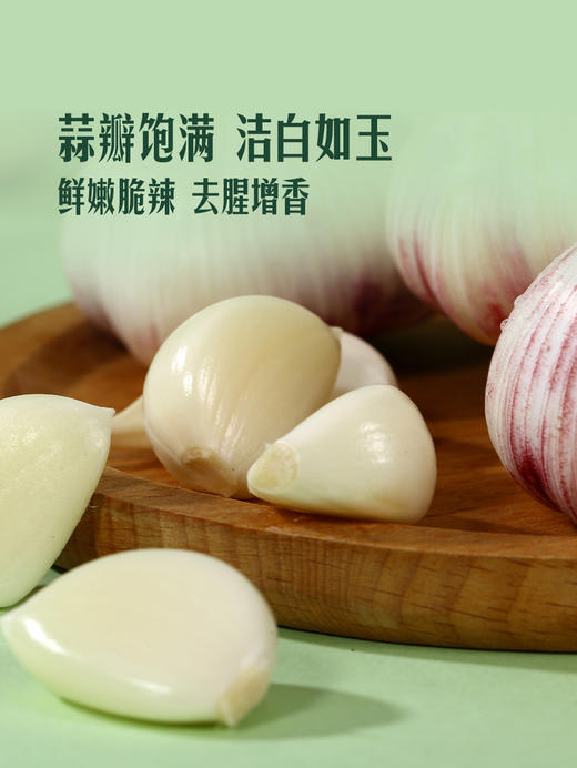 MM 山姆 鲜蒜头 1.1kg 商品图4