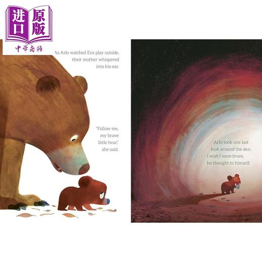 【中商原版】勇敢的小熊 Steve Small Brave Little Bear 英文原版 儿童绘本 动物故事图画书 温馨可爱 亲子读物 进口童书 商品图2